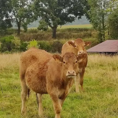 Elegante Maison Pres De La 1 Ou 2 * Fecamp